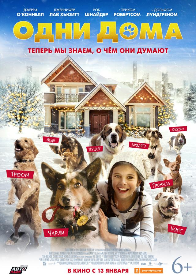 Одни дома (12+)