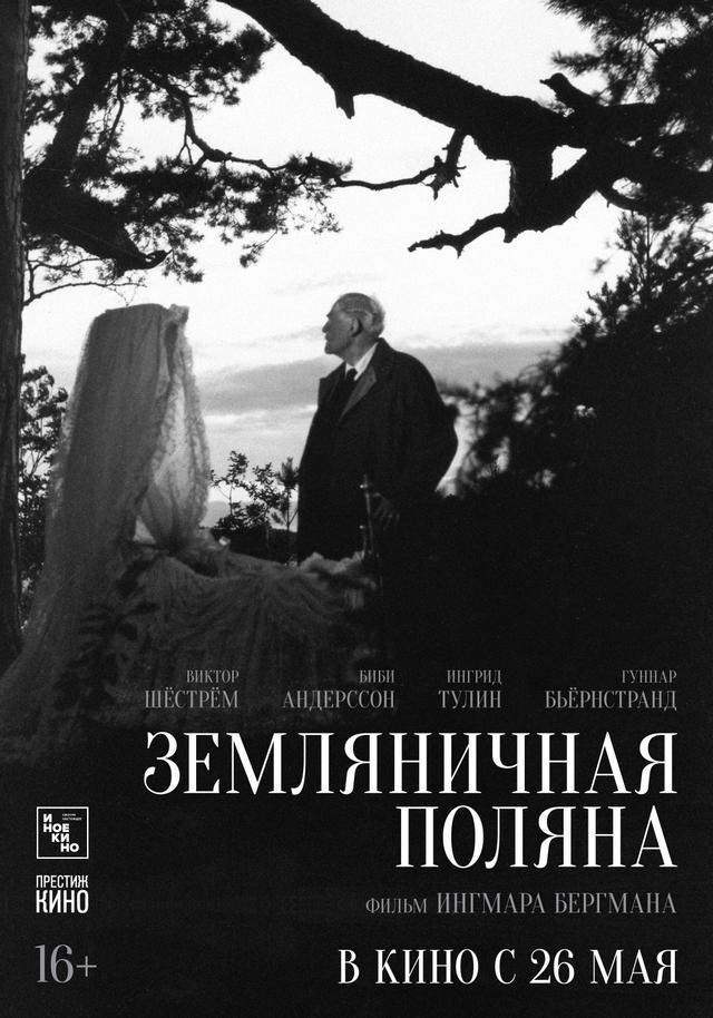 Земляничная поляна (субтитры) (16+)